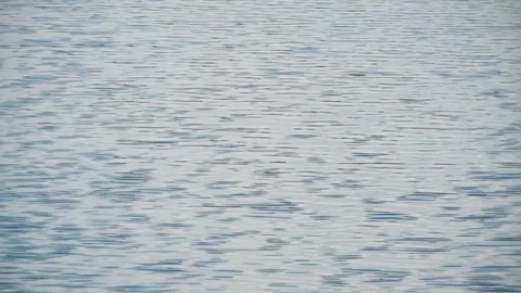 Small ripples on the surface of calm lake water Video stock 320941662