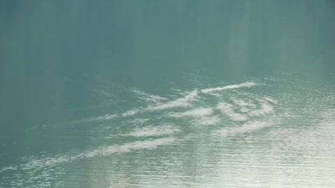 Small ripples on the surface of calm lake water Video stock 320941706