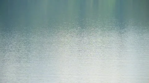 Small ripples on the surface of calm lake water Video stock 320941785
