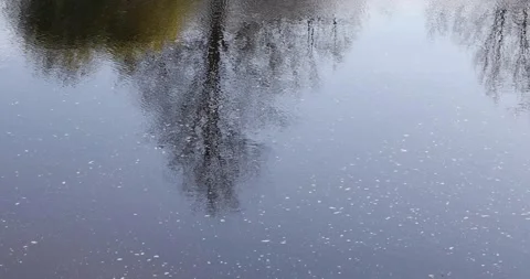 Small ripples on the surface of the river Stock Footage 134701599