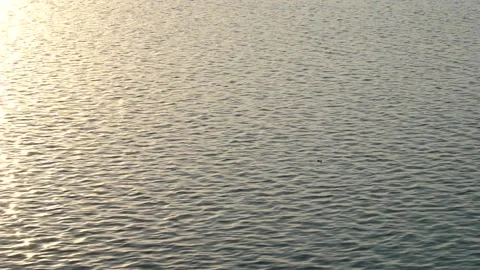 Small ripples on the water during sunset Stock Footage 155863359