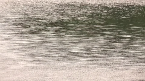Small ripples on the water, view from the shore. Stock Footage 323618526