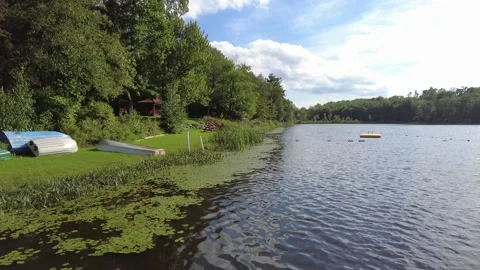 Small rippling pond Stock Footage 160492743