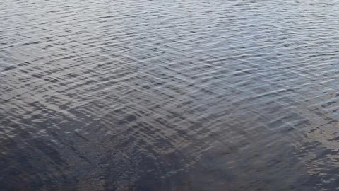 Small riptide waves on water surface Stock Footage 316687254
