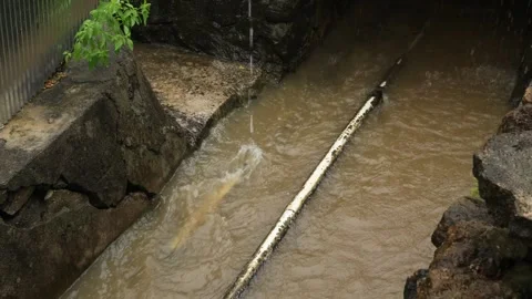 Small river  (3) Video stock 325174098