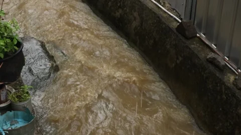 Small river (4) Stock Footage 325256442