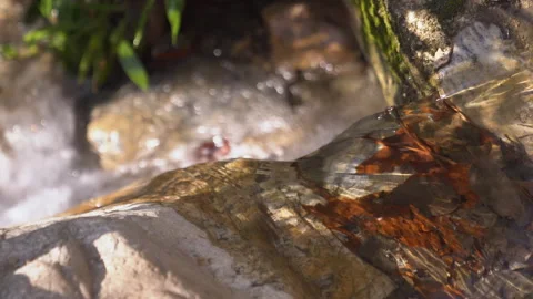 Small River 4K Close Up Stock Footage 246058748