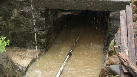 Small river  (5) Video stock 325256237