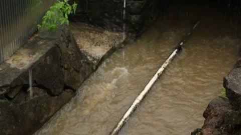 Small river (6) Video stock 325256960