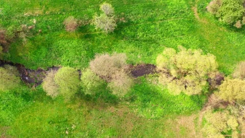 A small river from above in a meadow 4k 30fps video Stock Footage 272589029