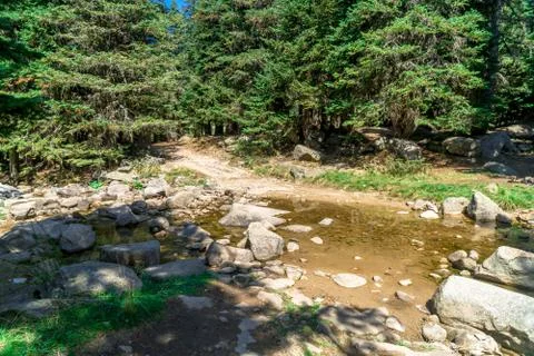 Small River Among Forest in Uludag National Park Stock Photos