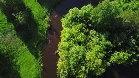 A small river among meadows shrubs and forests Stock Footage 139932907
