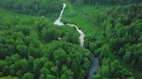 A small river among meadows shrubs and forests Stock Footage 139932918