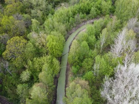 A small river among the trees in spring, aerial view. Forest river. Stock Photos