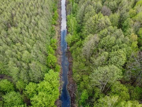 A small river among the trees in spring, aerial view. Forest river. Stock Photos