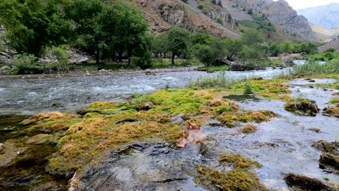 A small river and algae between the mountains Stock Footage 171820657