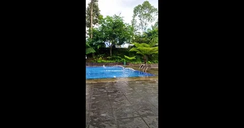 Small River and Bridge in Tropical Village Indonesia Stock Footage 317804996