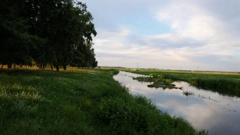 Small river and fields in the evening at sunset Stock Footage 78009014