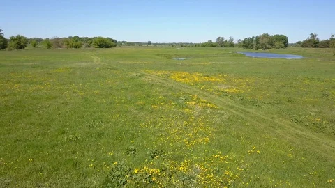 Small river and green meadow seen from above in spring light Vídeo Stock 90437871