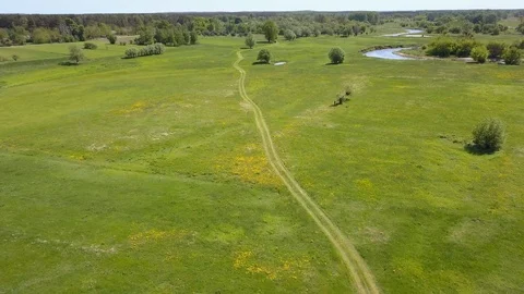 Small river and green meadow seen from above in spring light Video stock 90438338