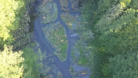 Small river and green meadow seen from above in spring light 스톡 동영상 90465774
