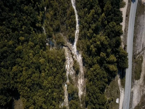 Small river and mountain road in the forest Stock Footage 75188092