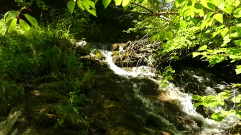 A small river and waterfall in the forest Stock Footage 184907436