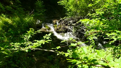 A small river and waterfall in the forest Stock Footage 184908277