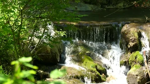A small river and waterfall in the forest Stock Footage 184908586