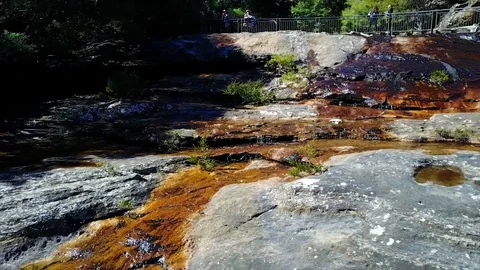 Small river and waterfall in the mountains of the overgrown forest. Stock Footage 95897989