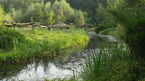 A Small River Are in the Centre of City Park Stock Footage 67819104