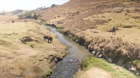Small river in an arid landscape with a horse and a young man, in Ethiopia Stock Footage 230501469