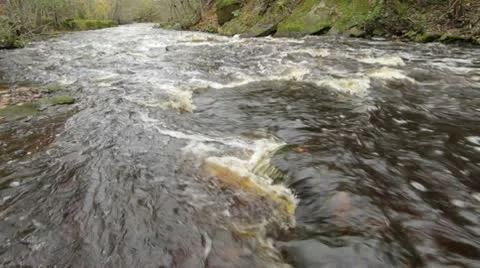 Small river at autumn Stock Footage 10579482