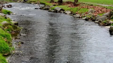 Small River in Autumn HD Stock Footage 8989841