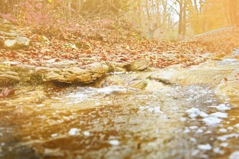 Small river in autumn Stock Photos
