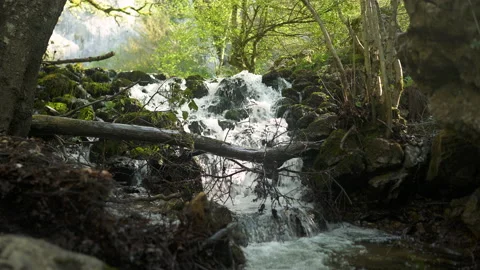 Small river in Basque Country landscape Video stock 152483727