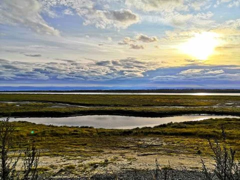 Small river bay in the sunlight Stock Photos