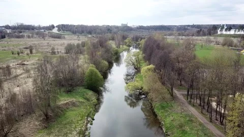 A small river between the trees in spring. Young greens Stock Footage 305567726
