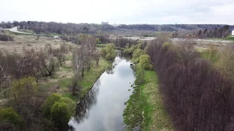 A small river between the trees in spring. Young greens Stock Footage 305567729