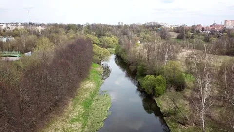 A small river between the trees in spring. Young greens Stock Footage 305567731