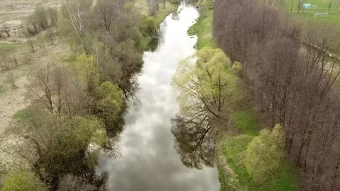 A small river between the trees in spring. Young greens Stock Footage 305568311