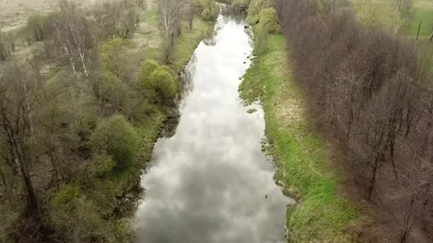 A small river between the trees in spring. Young greens Stock Footage 305568337