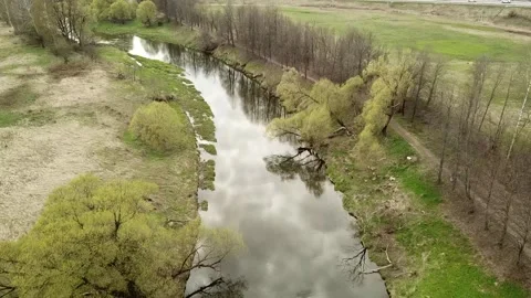 A small river between the trees in spring. Young greens Stock Footage 305568338
