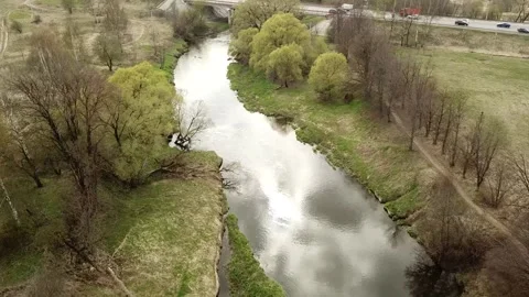 A small river between the trees in spring. Young greens Stock Footage 305568353