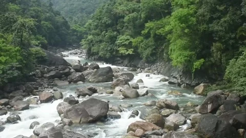 A small river from a bridge Stock Footage 272335013