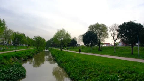 A small river in Bursa that is covered by huge and dried trees Video stock 154663223