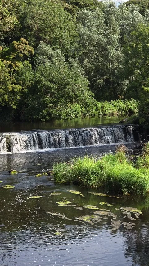 Small River Bush Waterfall with Trees at Bushmills Northern Ireland Vídeos de archivo 315119233