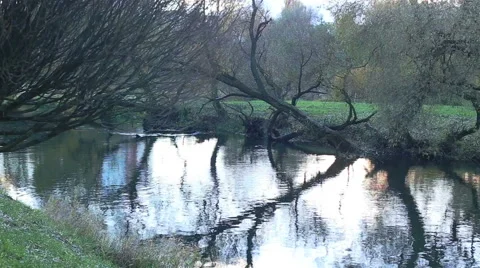 Small river. Camera movement Видео 61162231