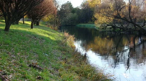 Small river. Camera movement Видео 61262837