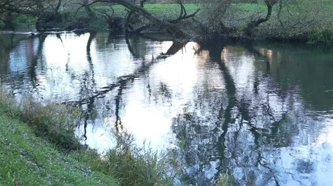 Small river. Camera movement Stock Footage 62376503